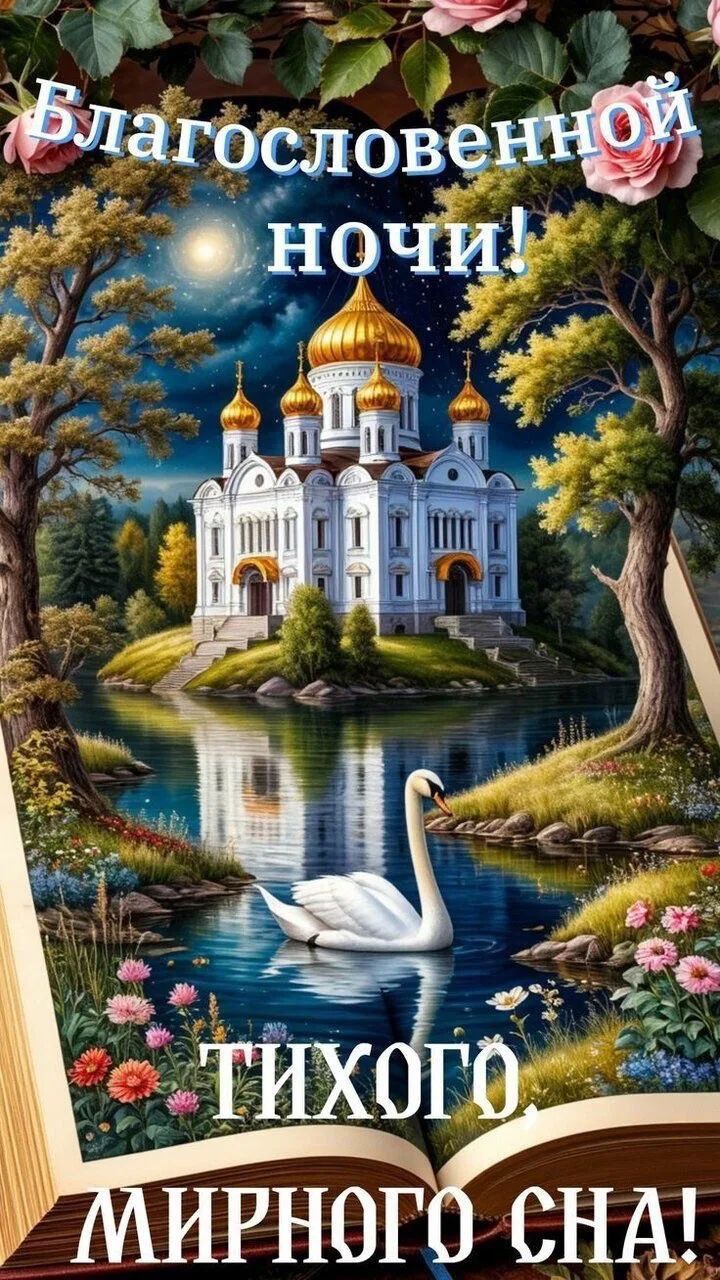 Благословенной ночи! ТИХОГО МИРНОГО СНА!