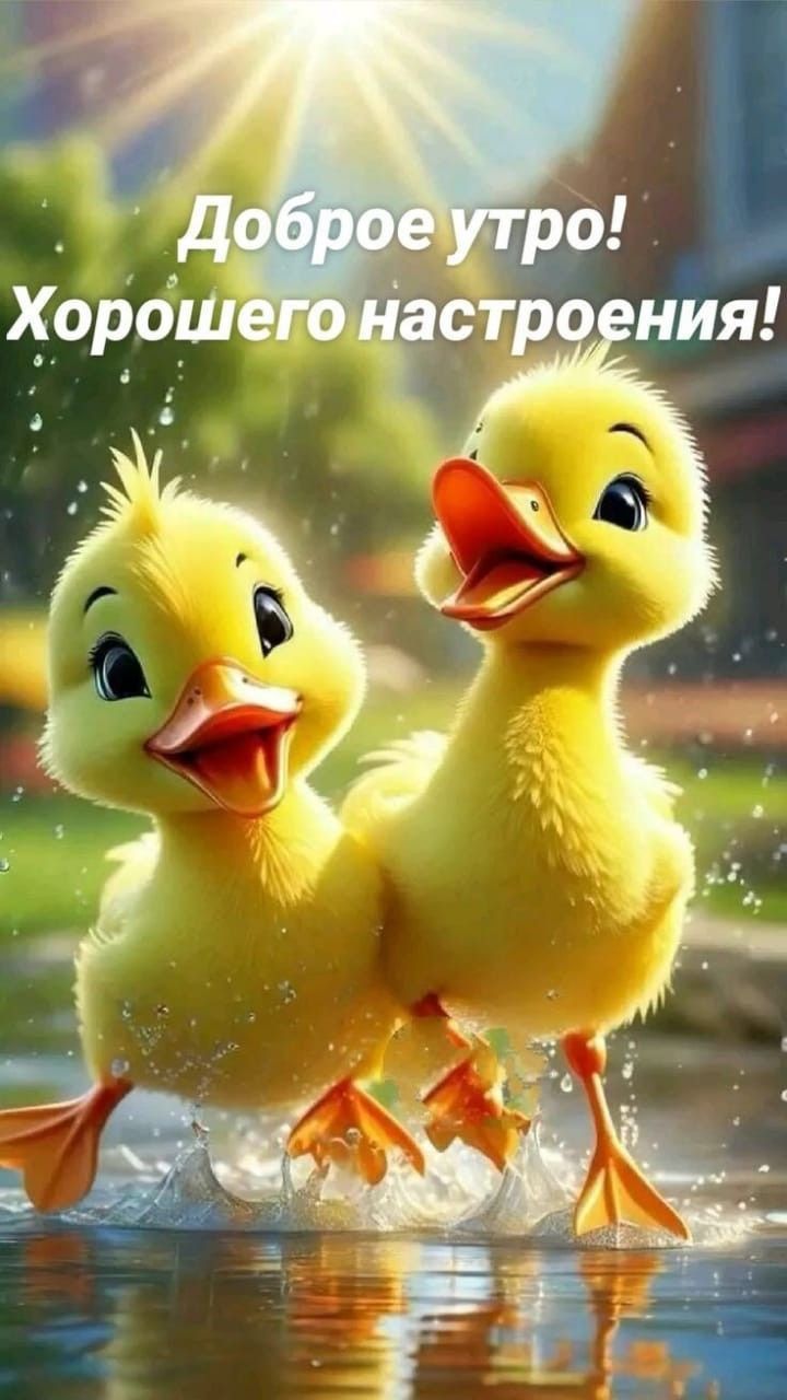 Доброе утро! Хорошего настроения!