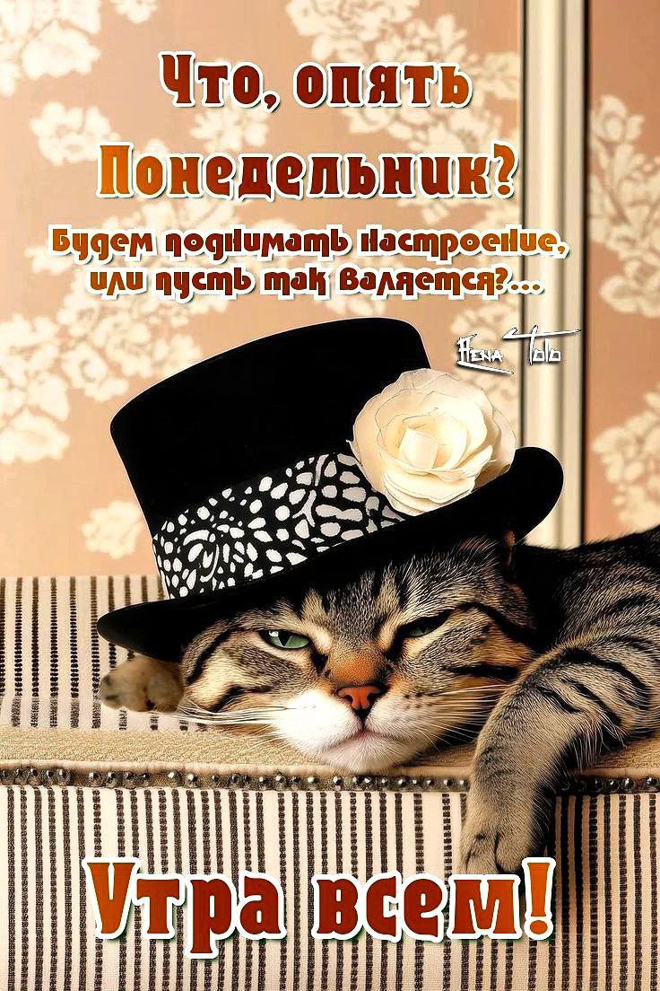 Что, опять Понедельник? Будем поднимать настроение, или пусть так валяется?... Утро всем!