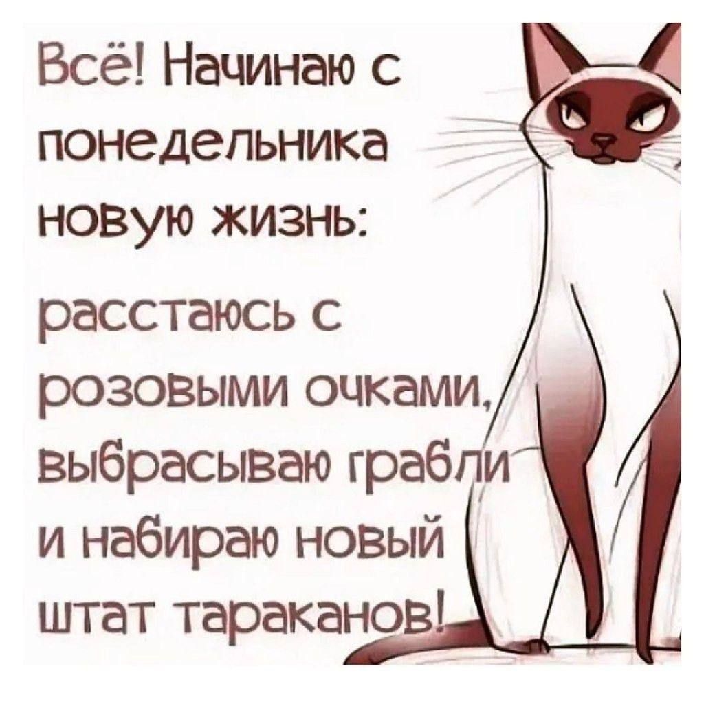 Всё! Начинаю с понедельника новую жизнь: расстаюсь с розовыми очками, выбрасываю грабли и набираю новый штат тараканов!