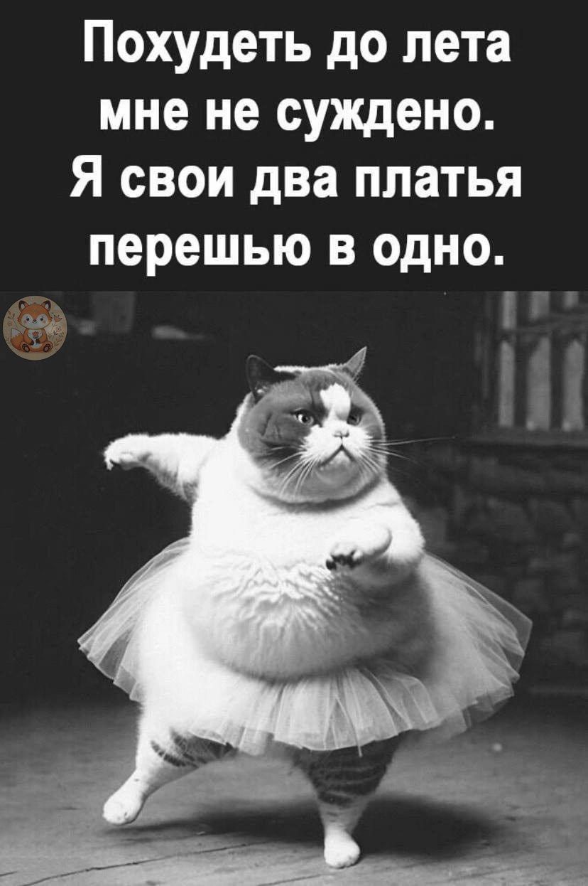 Похудеть до лета мне не суждено. Я свои два платья перешью в одно.