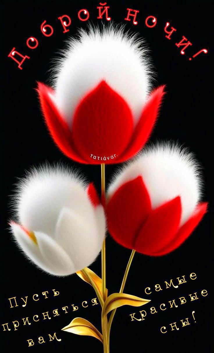 Доброй ночи! tatianar. Пусть приснятся вам самые красивые сны!
