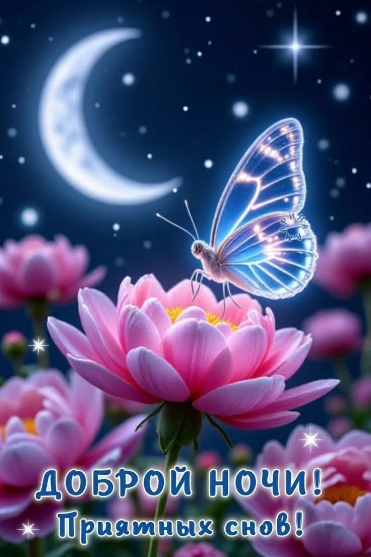 ДОБРОЙ НОЧИ! Приятных снов!