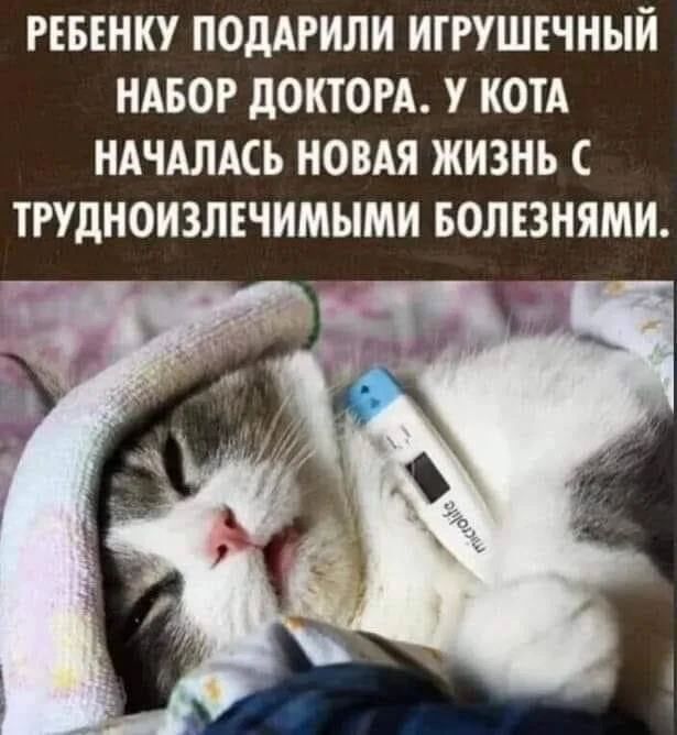 РЕБЕНКУ ПОДАРИЛИ ИГРУШЕЧНЫЙ НАБОР ДОКТОРА. У КОТА НАЧАЛАСЬ НОВАЯ ЖИЗНЬ С ТРУДНОИЗЛЕЧИМЫМИ БОЛЕЗНЯМИ.