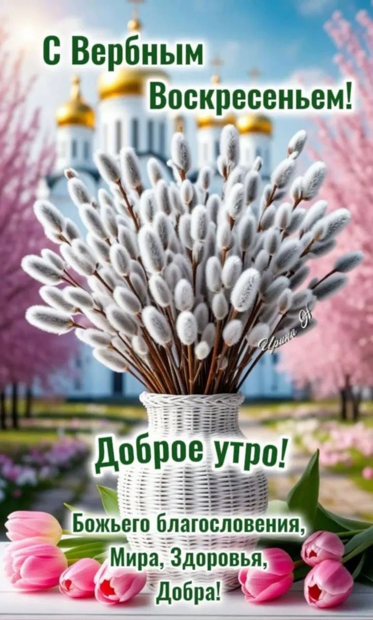 С Вербным Воскресеньем! Доброе утро! Божьего благословения, Мира, Здоровья, Добра!