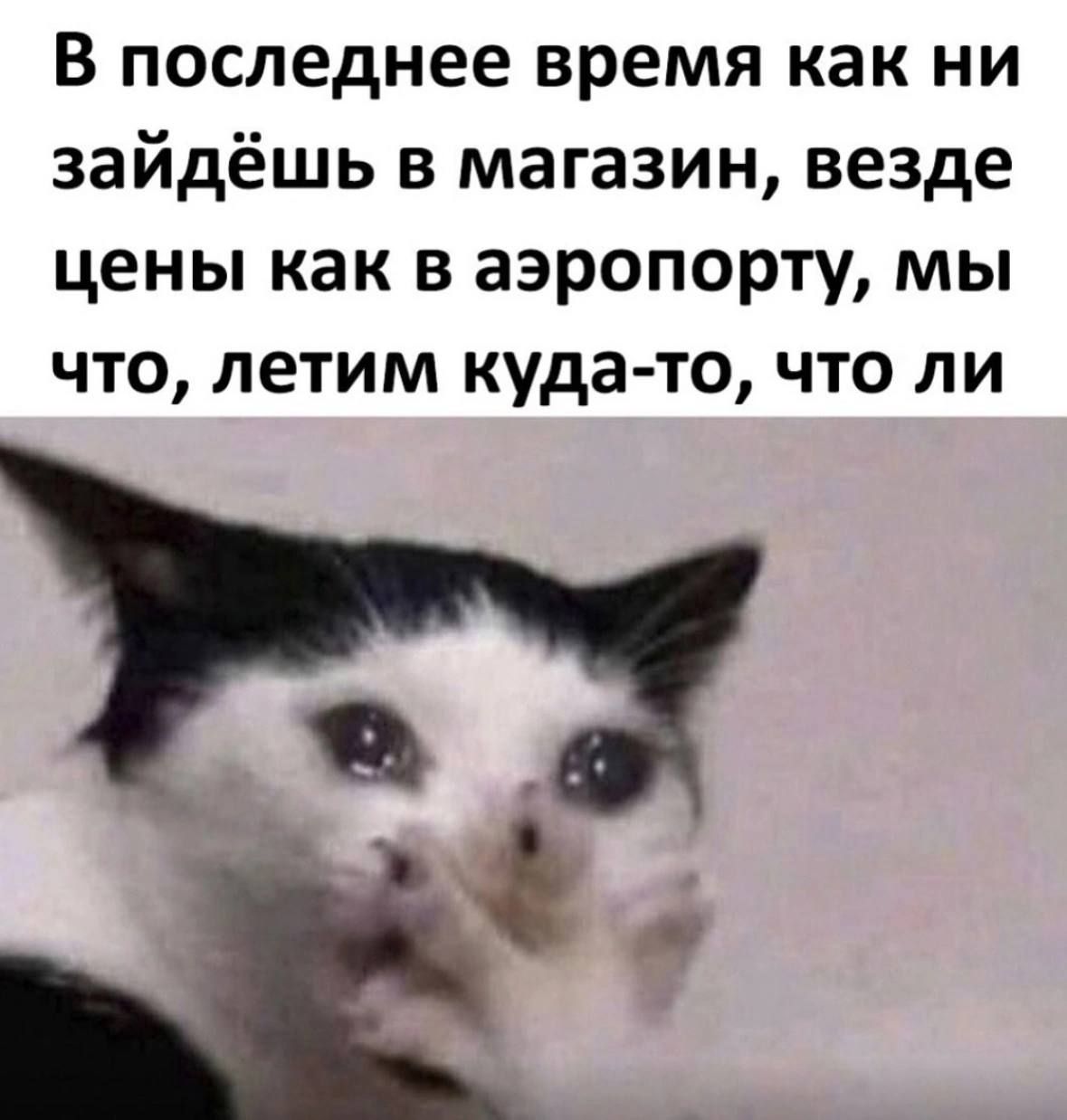 В последнее время как ни зайдёшь в магазин, везде цены как в аэропорту, мы что, летим куда-то, что ли