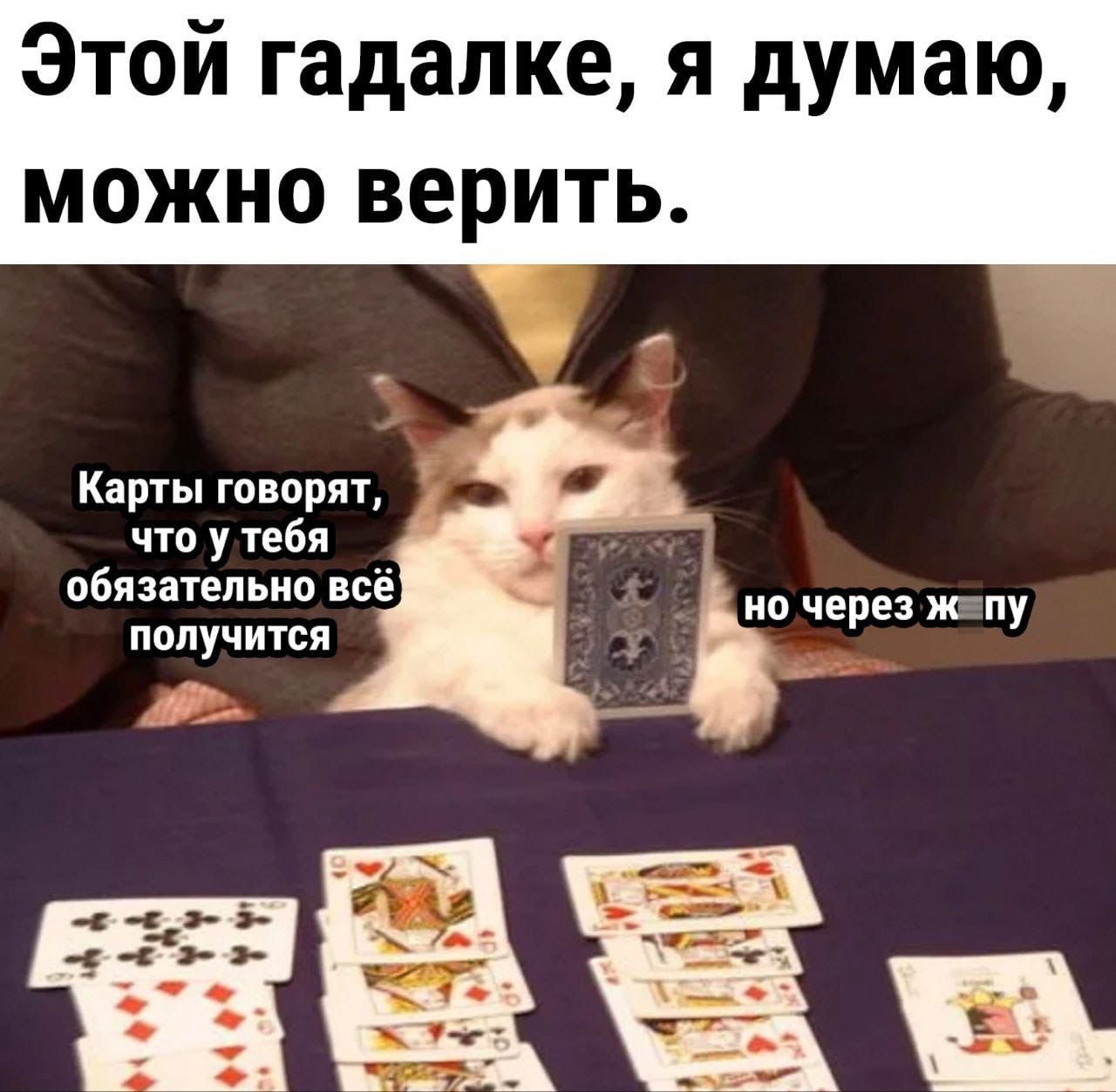 Этой гадалке я думаю можно верить Камы говори что у тебя обязагепьио всё получится на через кпу