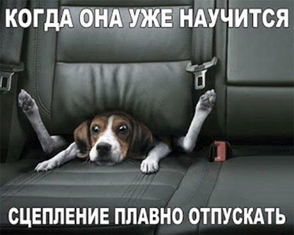 когддхоіщчужр агійііится Рж на СЦЕПЛЕНИЕ ПЛАВНО ОТПУСКАТЬ