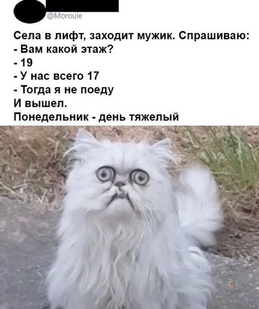 Сепа в лифт заходит мужик Спрашиваю Вам какой этаж 19 У нас всего 17 Тогда я не поеду И вышел Понедельник день тяжелый