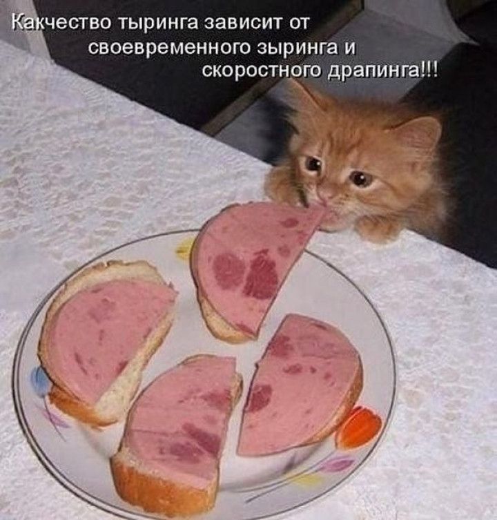 ЧЭСТВО ТЫРИНГЭ ЗЭВИСИТ ОТ своевременного зыринга и скоростного драпинга