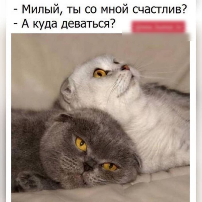 Милый ты со мной счасглив А куда деваться