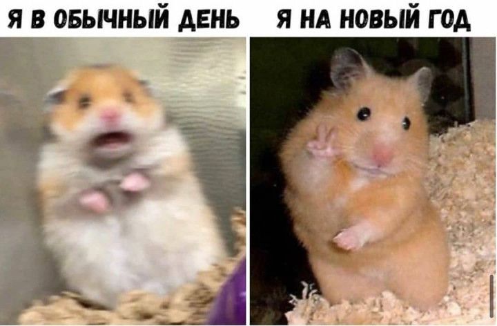 я в овычный день я нд новый год