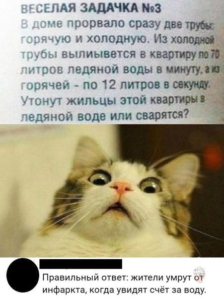ЦЕПАЯ ЗАДАЧКА 3 чле прорвало сразу два чую и холодную Махово эы выпиывется в квартирумп дров ледяной воды в минутуі орячеи по 12 литров воетш Чтонут жильцы этой квартиры чедяной воде или свалятся Правильный ответ жители умрут от инфаркта когда увидят счёт за воду
