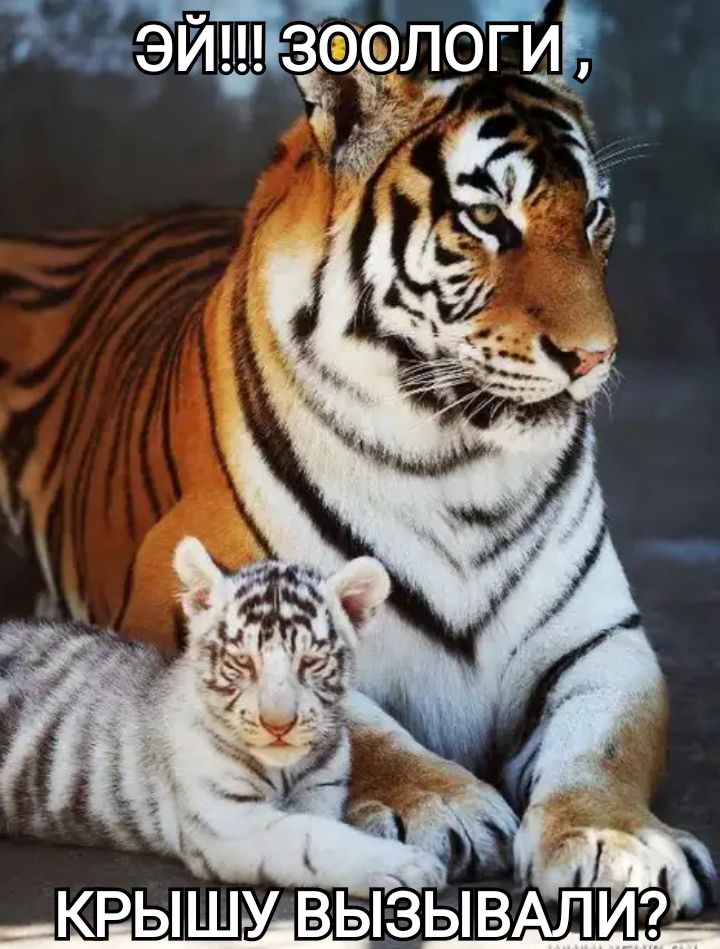 _ Щ Ь в В в У ш В Р К