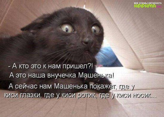 гид У
