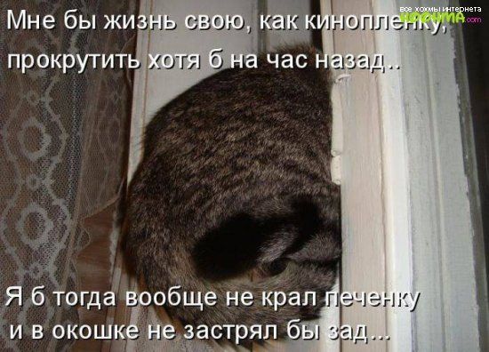 Мне бы жи прокрутит_ Р Яд тогда обще не крал г и вокошпЁОЁЁцзастряп