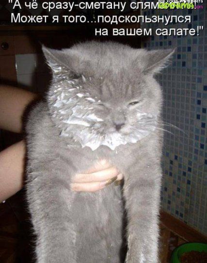 че сразу сметану спя Может я того подскользмупся на вашем салате