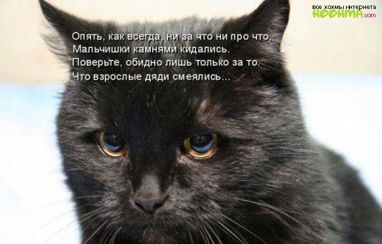 Опягь как все д чтони про чт Мальчишки камнями иидапись _ Поверьте обидно лишь только за то Что взрослые дяди смеялись