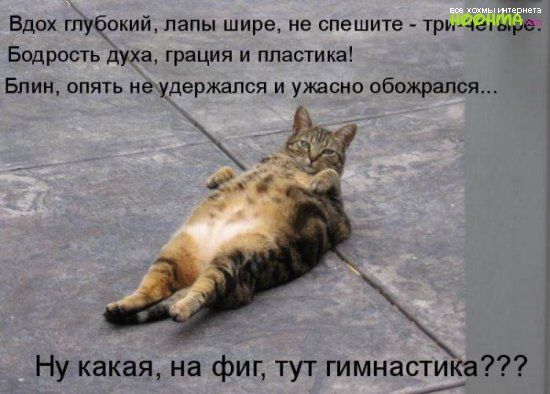 Вдох глубокий папы шире не спешите Бодрость духа грация и ппасти ка Блин опять не удержался и ужасно обожрапся Ну какая на фиг тут гимнастика