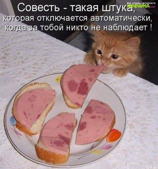 _ Совесть такая цггукё 0 ЭЯ ОТКЛЮЧЗЭТСЯ аВТОМЭТИЧЕСКИ когда тобой никто Н _раблюдает