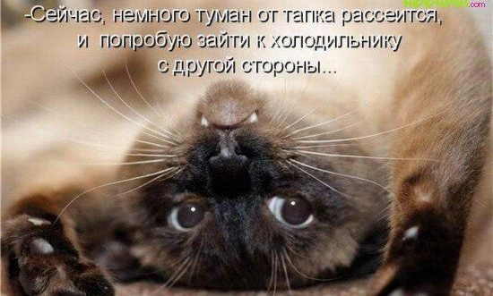 Ьчёйчас немного туман от тагиа оаосаэггся и попробую зайти к опошшьнииу с другой гороны
