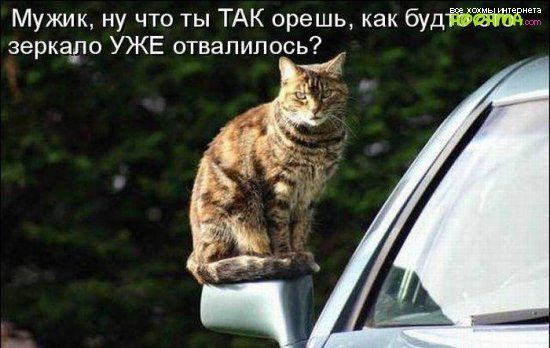 Мужик ну что ты ТАК орешь как будт зеркадо УЖЕ отвалилось