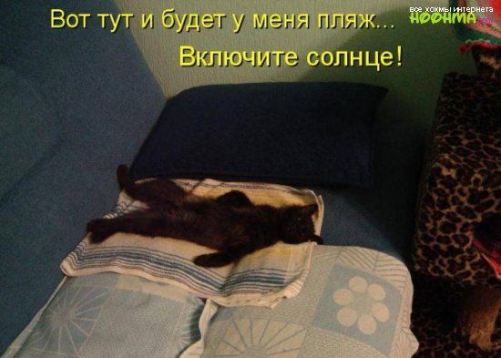 Вот и бдег 1 енд пля Впишите И