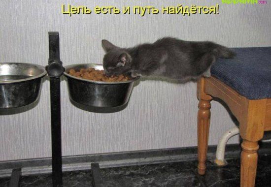 97 ст и путь нам,