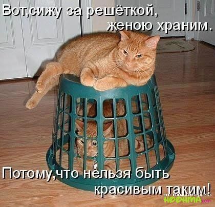 Аакрасиветй акици!