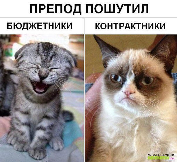 ПРЕПОД ПОШУТИЛ БЮДЖЕТНИКИ КОНТРАКТНИКИ