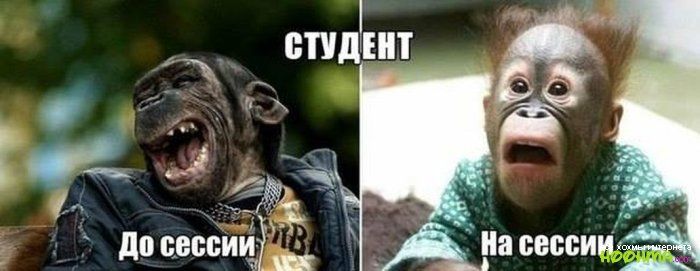 до пенсии _ сессии