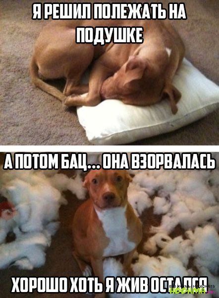 Я РЕШИШППЛЕЖМЬ НА ппдушпн 7 хпппшпхптьЁжинпг гдвігф