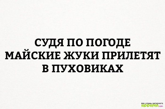 судя по погодв МАИСКИЕ жуки прилвтят в пуховиш