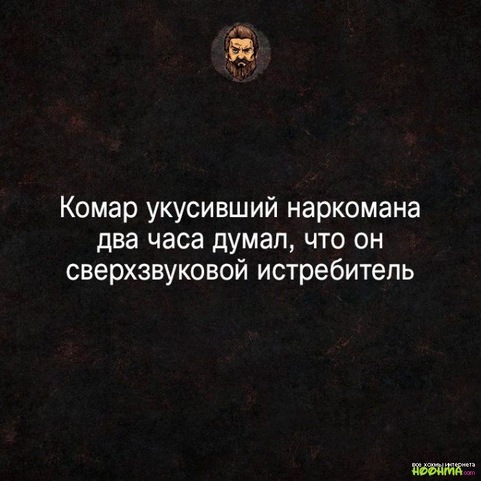 Комар укусивший наркомана два часа думал что он сверхзвуковой истребитель