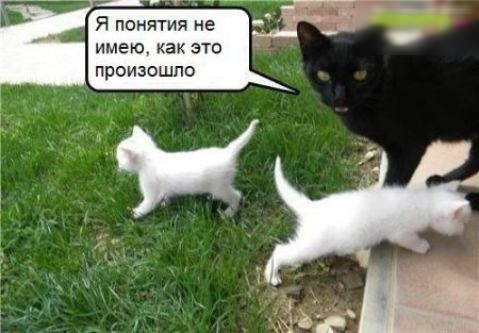 Я понятия не имею как это произошло