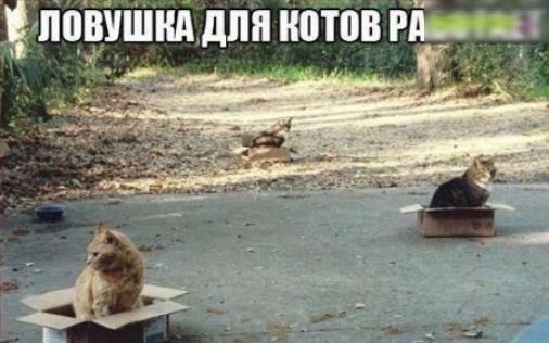 ПШШШНА для 0108 гиды