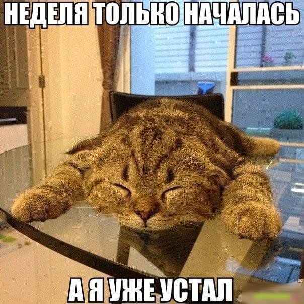ШШЁЦВЩЦ
