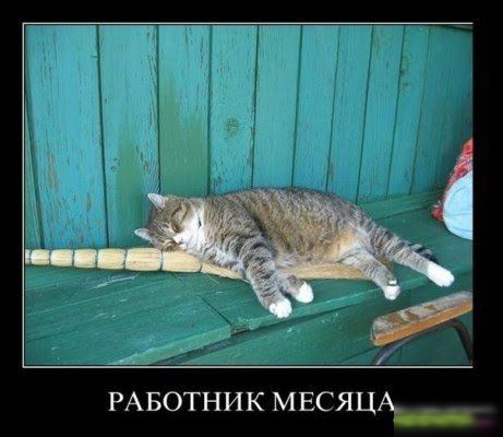 РАБОТНИК МЕСЯЦАа__