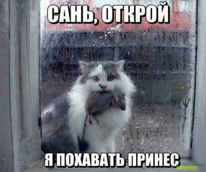 я ПШШВАТЬ ПРИПЕВ