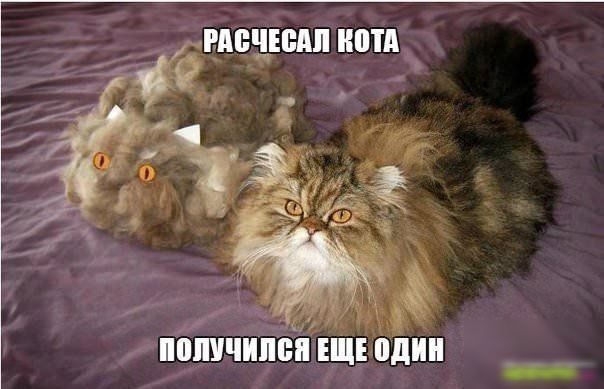 х _ ППШШПЁП ЕЩЕПдин