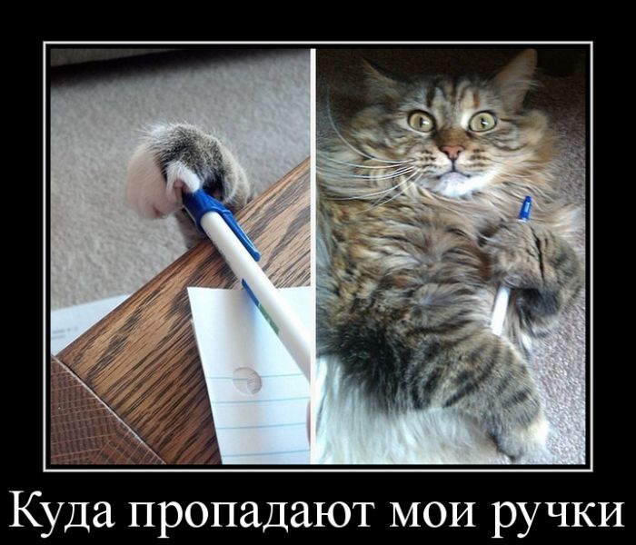 Куда пропадают МОИ ручки