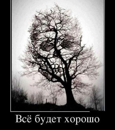 0 Ш 0 р 0 Х Т е д у 6 6 С В