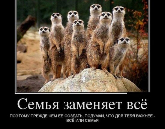 ССМЬЯ заменяет ВСЁ поэтому ПРЕЖДЕ чЕм ЕЕ созддтм подумди что для ТЕЕя ВАЖНЕЕ все или сЕмья