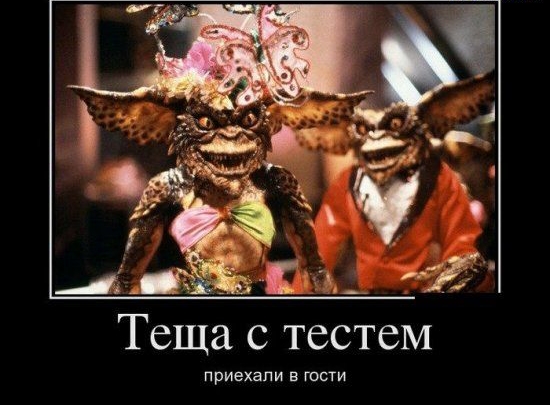 приехали в гости