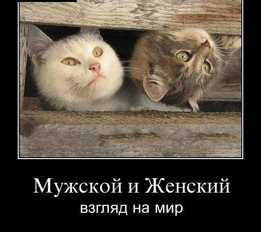 Мужской И Женский взгляд на мир