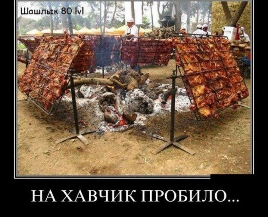 Шо так 80 НА ХАВЧИК ПРОБИЛО