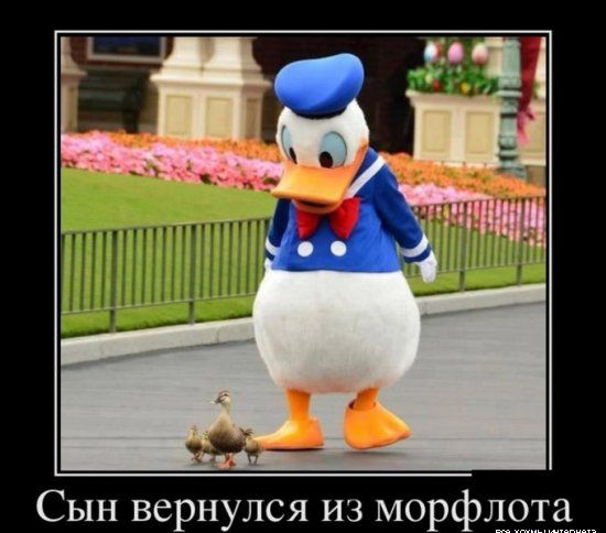 Сын вернулся из морфлота