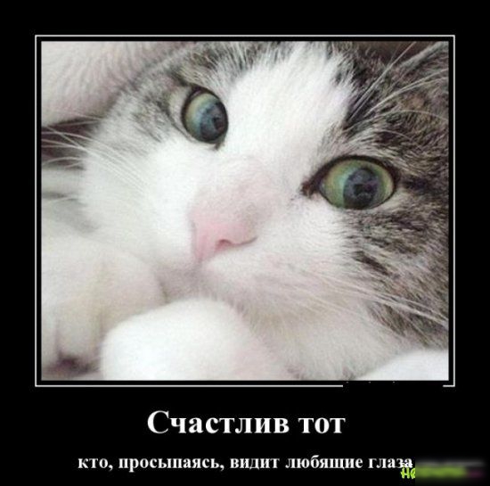 Счастлив тот просыпаясь ШШШ любящие тата __