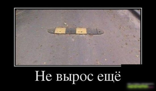 Не вырос ещё _