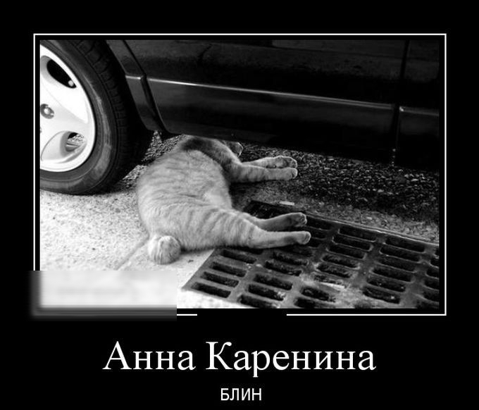 Анна Каренина БЛИН